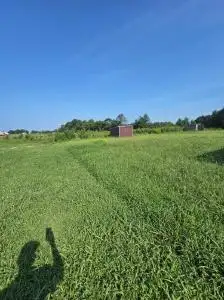 The same residential lawn after professional mowing and edging