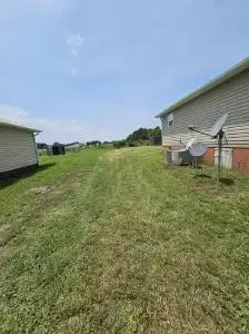 Overgrown residential lawn before mowing and edging