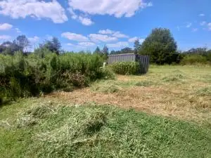 Garden bed with weeds and an uneven edge before cleanup