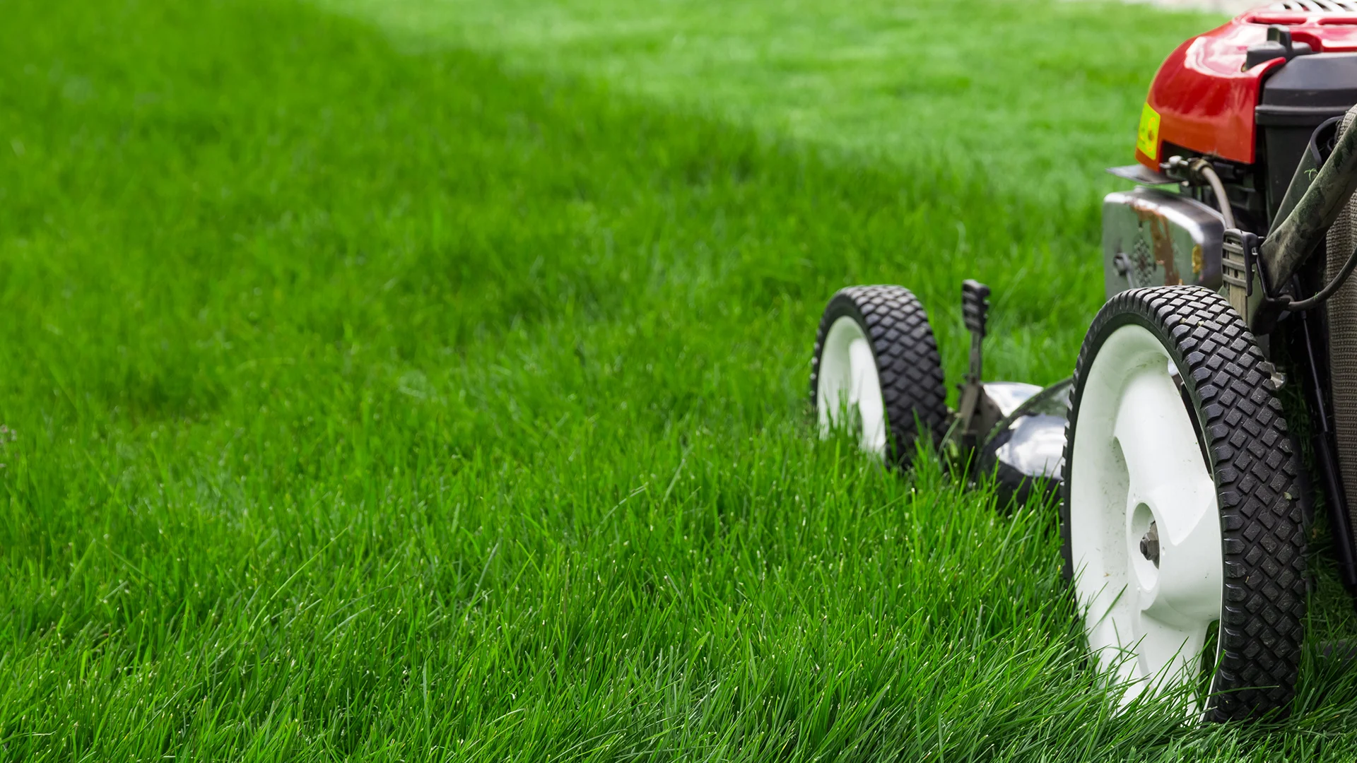 A freshly striped green lawn surrounding a welcoming Alabama home