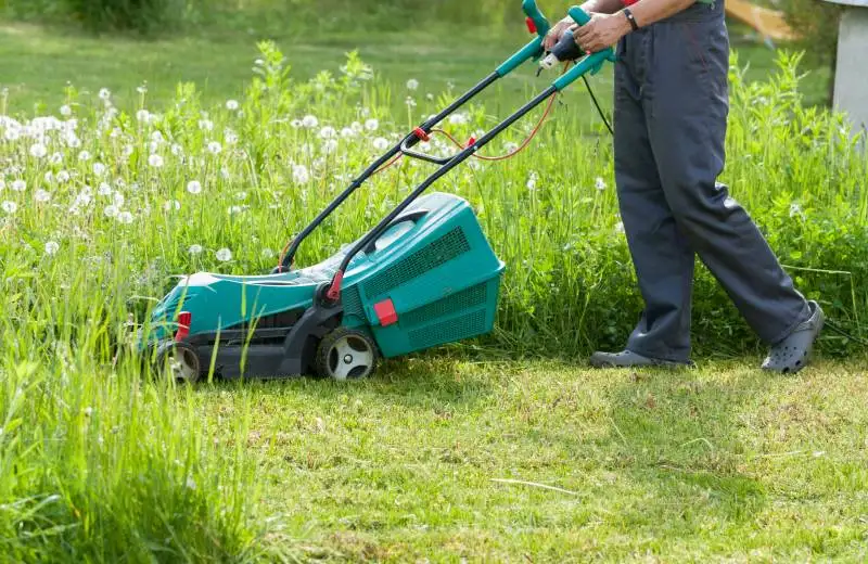 Professional mowing equipment creating clean stripes across a healthy lawn